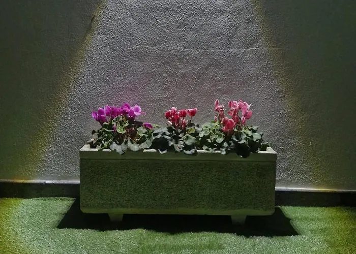 Casa Vereda Ponta Delgada, S Miguel 別荘 *