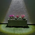 Casa Vereda Ponta Delgada, S Miguel בית נופש *