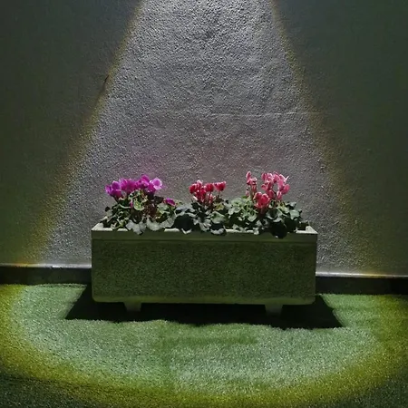 Casa Vereda Ponta Delgada, S Miguel Σπίτι διακοπών *